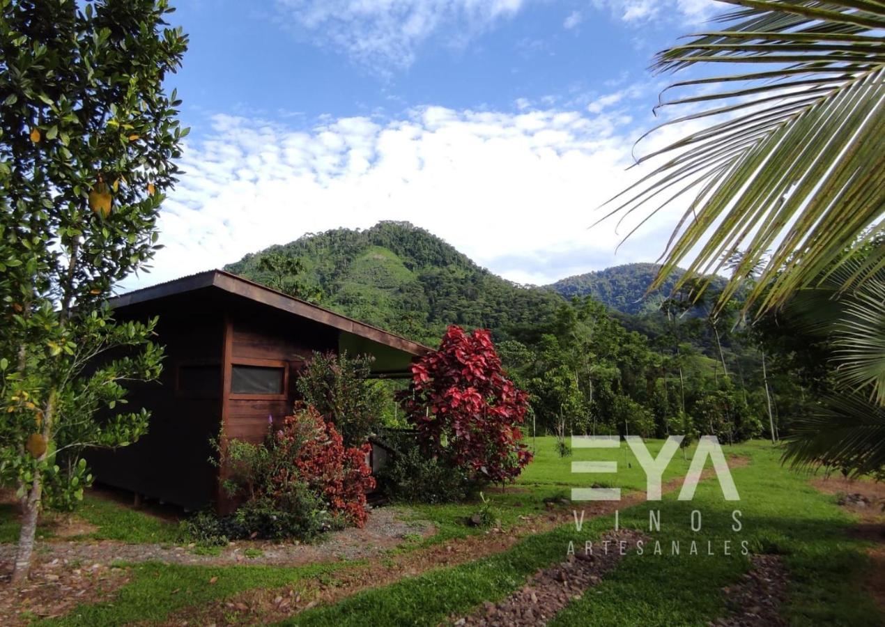 Eya Ecolodge San Isidro De El General ภายนอก รูปภาพ